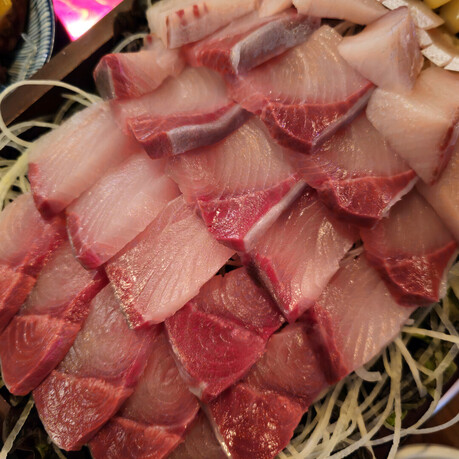 [必먹] 강남구청역 인근 실내포차 '朴高(박고)볼래', 겨울철 별미 '大방어회'로 인기